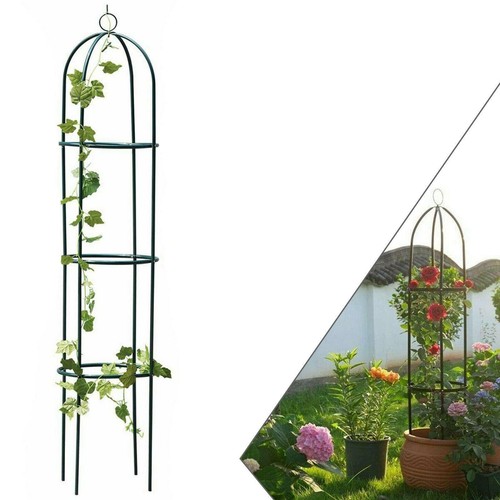 New garden obelisk climbing - new,
