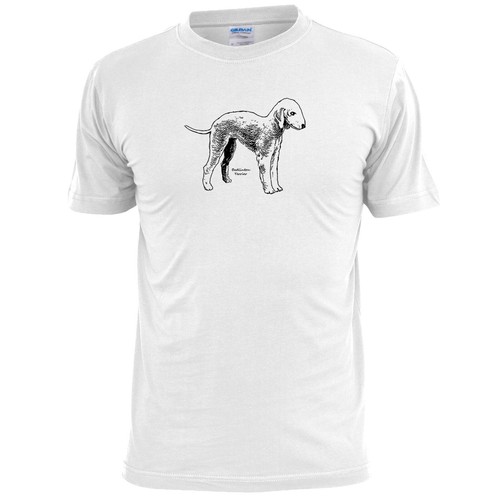 Mens bedlington terrier dog - terrier,