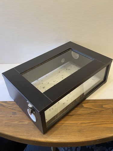 Habistat wood glass - habistat,