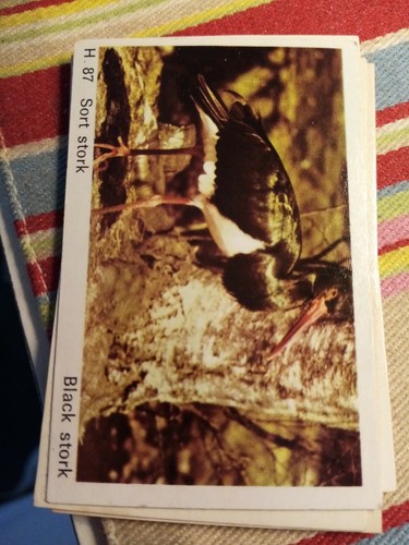 Pt3 trade card - trade,