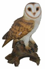 Vivid Arts Barn Owl Highly