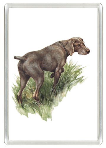 Weimaraner dog fridge - dog,