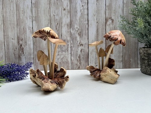 Assorted mushrooms root - assorted,
