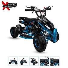 50cc Petrol Kids Sky Blue Mini Quad Bike 2 Stroke Petrol Quad ATV Off Road