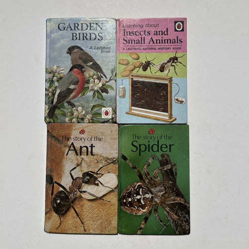 Job lot rare - lot, ladybird