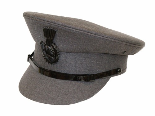 Light grey chauffeurs - chauffeurs, driver