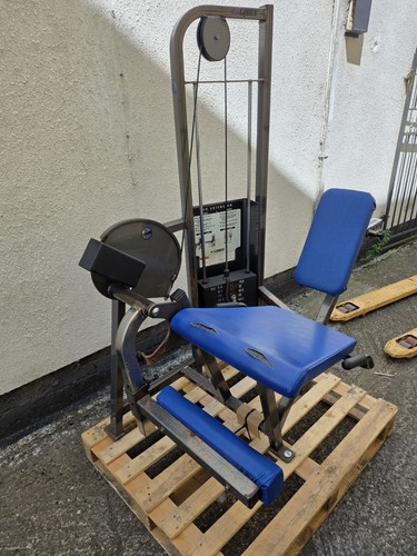 Cybex classic leg extension - cybex,