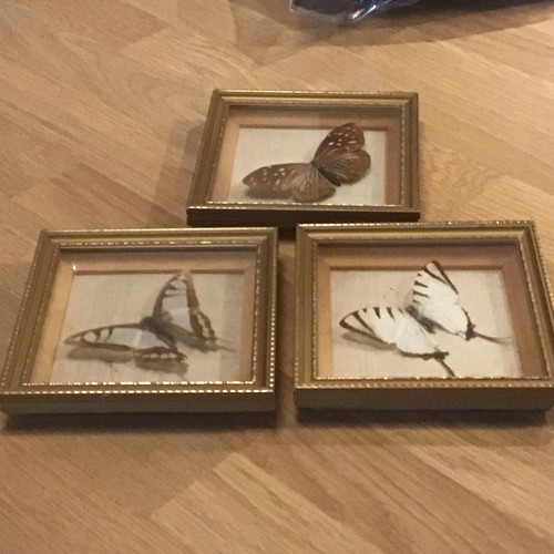 Set vintage framed - set, 3