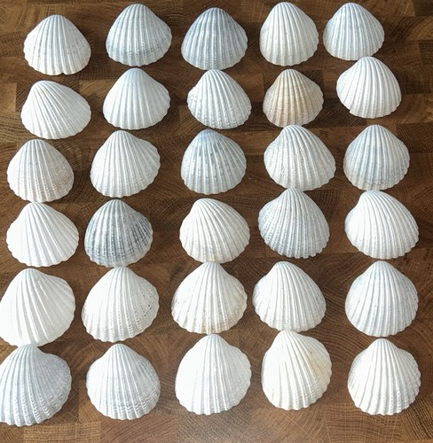 Arts crafts natural ribbed - arts,
