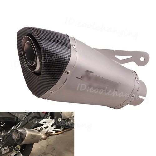 Slip exhaust tips - tips, tail