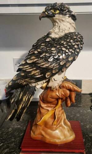 Life size eagle falcon - life,