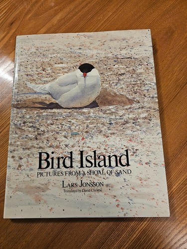 Bird island pictures - bird, from
