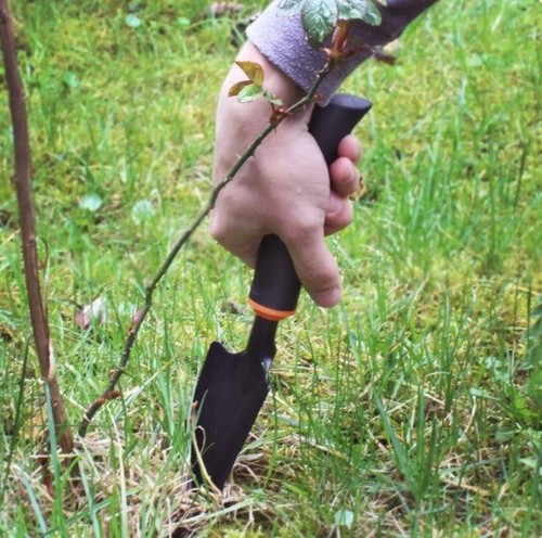 Luxe narrow garden trowel - garden,