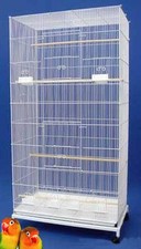 X-LARGE 55" Flight Multiple