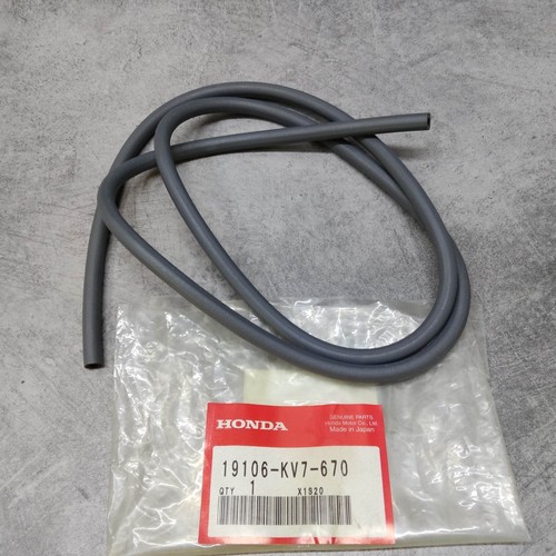Radiator hose honda ch125 - radiator,