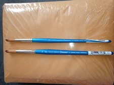 Winsor & Newton Artists Cotman