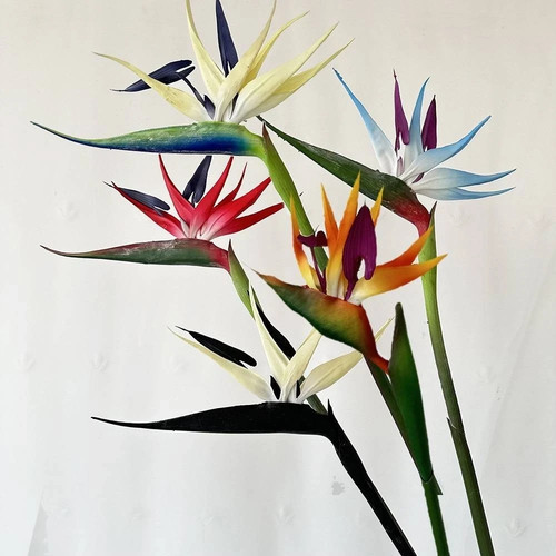 Bird paradise artificial - bird,