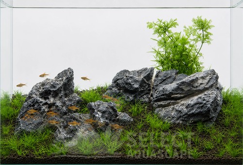 Seiryu stone aquarium rock - aquarium,