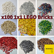 LEGO 1x1 X100 Bricks Pack Size