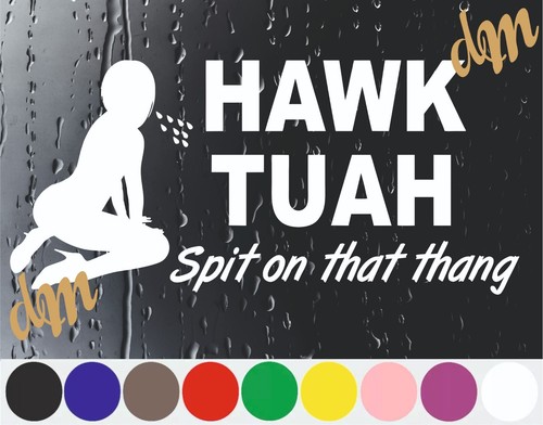 Hawk tuah vinyl - tuah, sticker