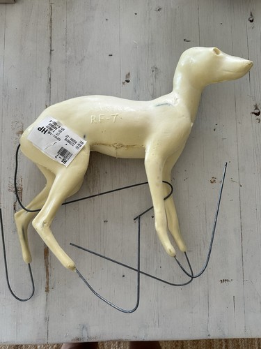 Life size fox mount - size,
