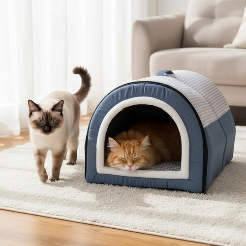 Dog cat kitten pet - cat, igloo