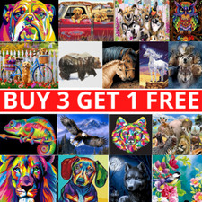 DIY Oil Painting Kit Paint By Numbers Acrylic Beginners Frameless Adult Children