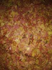 ENERGY FLAKE FOOD FLAKES ALL FISH TROPICAL ORNAMENTS PROTEIN 55%