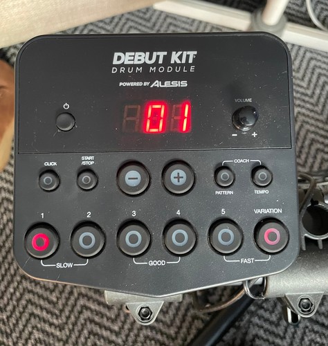 Alesis debut module brain - alesis, /