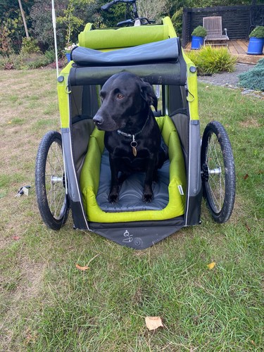 Croozer jokke dog trailer - croozer,