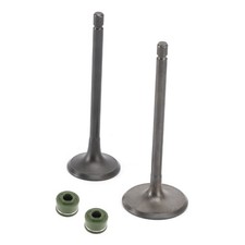 Head Intake Exhaust Valves