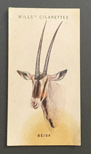 1934 Vintage Cigarette Cards