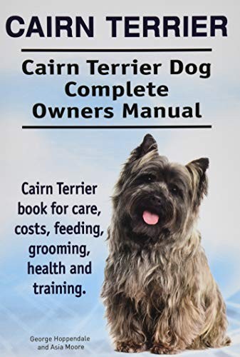 Cairn terrier - terrier.,