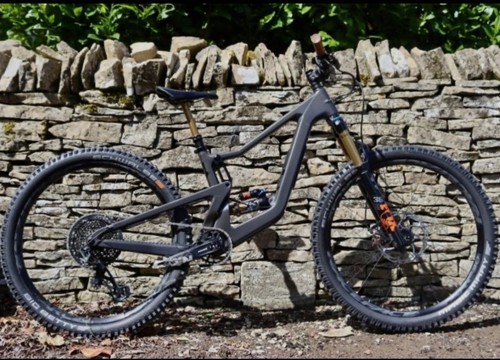 Santa cruz bronson - bronson, size