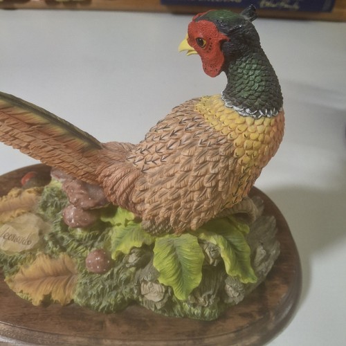 Leonardo collection pheasant8 - collection,