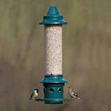 Brome Squirrel Buster Plus