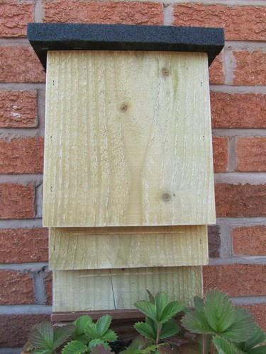 Bat box twin - bat,