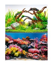 Aquarium Fish Tank Background