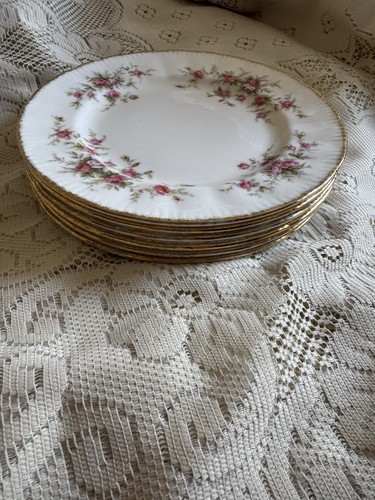 Paragon victoriana rose - victoriana, 6