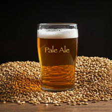 Home brewing beer kits - EASY Pale Ale - Malted Barely Hops Yeast - SIMPLE - USA