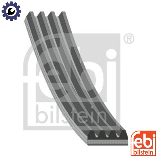 Vribbed belt 28787 for - vribbed,