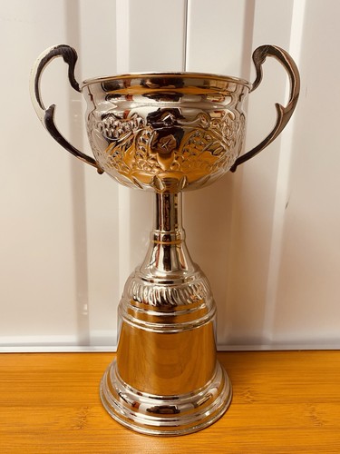 Silver trophy - 🏆, 9.5”