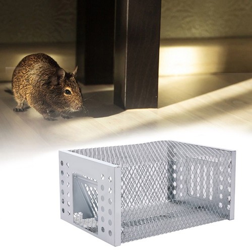 Rat trap heavy - rat, metal