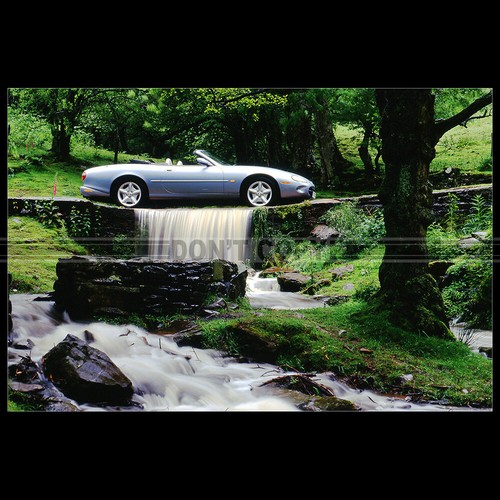 Photo 031454 jaguar xk8 - photo,