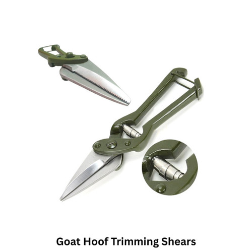 Goat hoof trimming shears foot - goat,