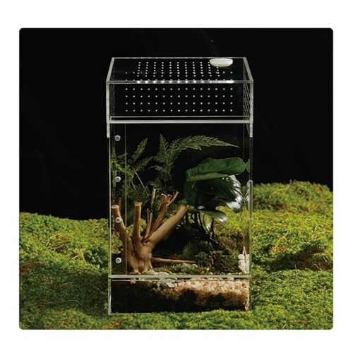Acrylic terrarium for reptiles - acrylic,