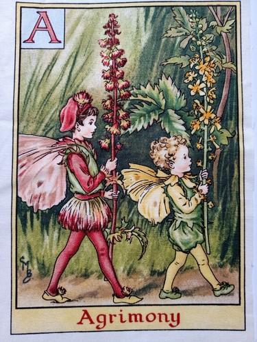 Agrimony alphabet - a,
