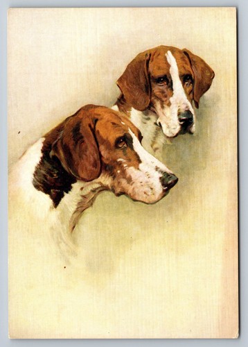 Embossed foxhound dog postcard - foxhound,
