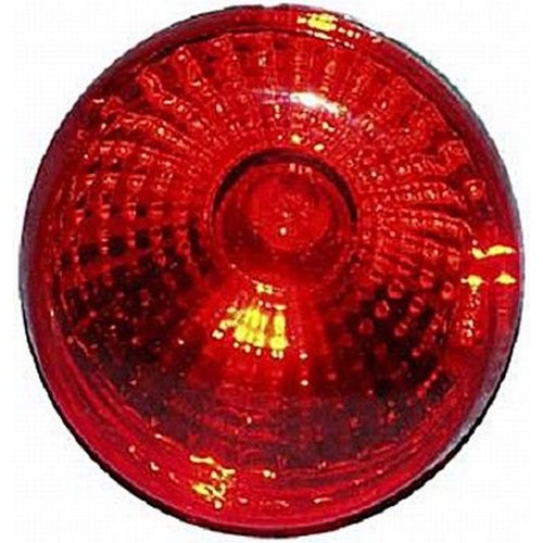 Rear fog light - rear,