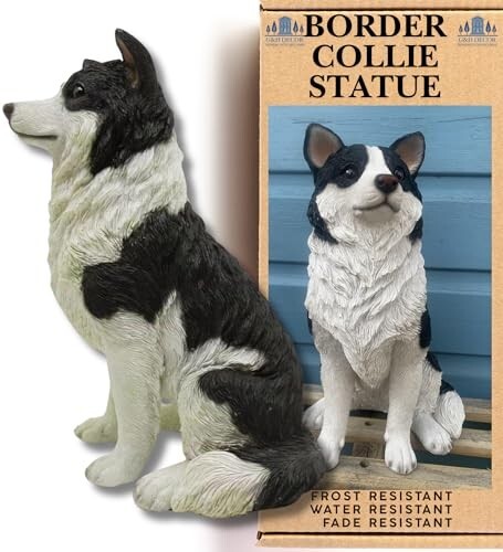 Border collie 5cm - collie, hand